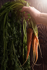 Image showing Freshly grown carrots