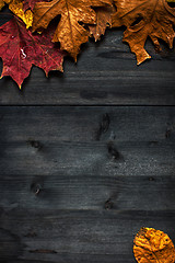 Image showing Wood autumn background