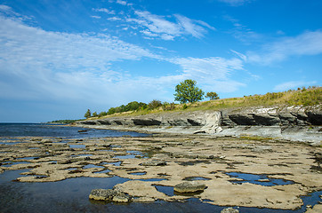 Image showing Eroded limestone coast