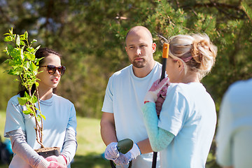 Image showing group of volunteers planting trees in park