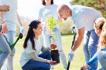 Image showing group of volunteers planting tree in park