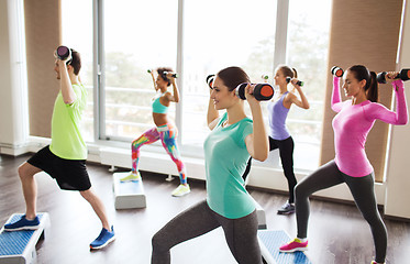 Image showing group of people with dumbbells and steppers