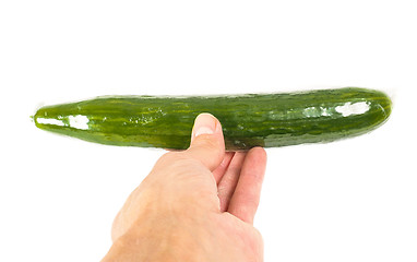 Image showing Person holding a cucumber on white