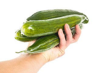 Image showing Person holding cucumbers on white