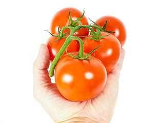 Image showing Person holding a bunch of tomatoes