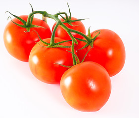 Image showing Tomatoes in group, with green stem