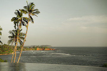 Image showing view from infinity edge pool to ocean and palms