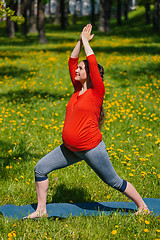 Image showing Pregnant woman doing asana Virabhadrasana outdoors