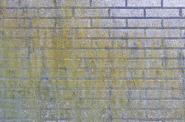 Image showing Brick wall.