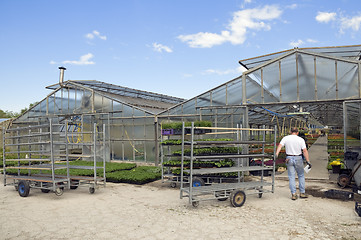 Image showing Greenhouse