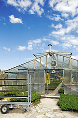 Image showing Greenhouse