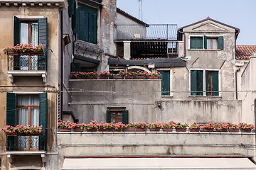 Image showing vases with flowers in the middle of the courtyard colorful houses