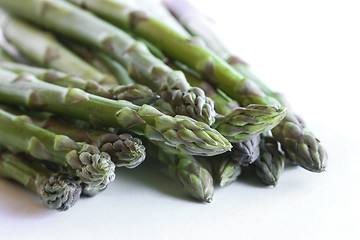 Image showing Asparagus against a white background