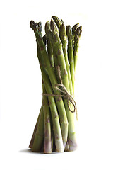 Image showing Asparagus against a white background