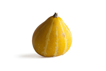 Image showing Yellow gourd on white