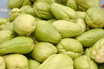 Image showing Pile of chayote fruits