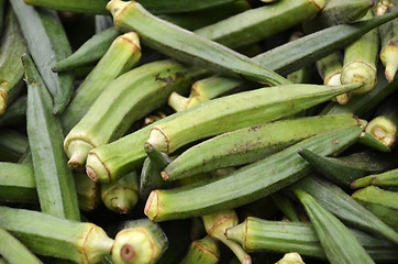 Image showing Raw green Okra