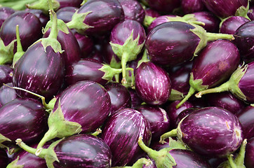 Image showing Raw ripe Eggplant 