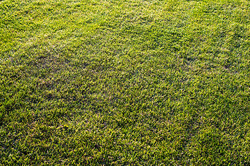 Image showing green cutted grass background