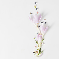 Image showing floral frame on a white background
