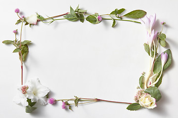 Image showing flowers frame in white background isolated