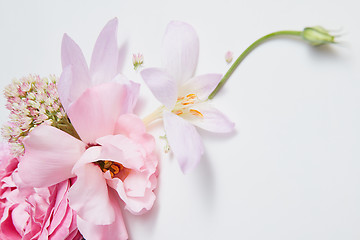 Image showing frame pink roses