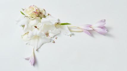 Image showing flowers frame in white background