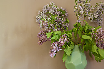 Image showing some flowers on the table