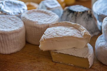 Image showing Set of different cheese