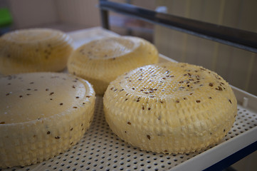 Image showing aging cheese heads