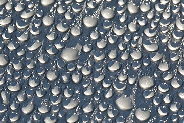 Image showing Shiny Water Droplets