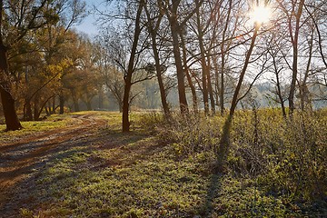 Image showing Autumn morning landscape