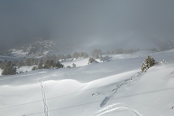 Image showing Skiing slopes from the top