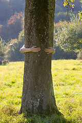 Image showing Woman embracing a tree