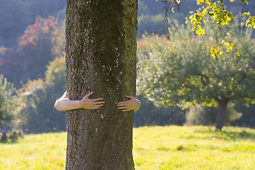 Image showing Woman embracing a tree