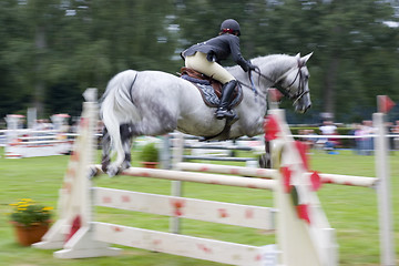 Image showing Jumping horse