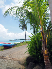 Image showing panga fishing speed boats roadside with capital Brig Bay Big Cor