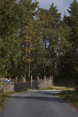 Image showing country road