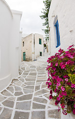 Image showing Greek Island Paros, historic village Lefkes typical street scene