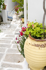 Image showing typical street scene with geraniums in pot stone streets with wh