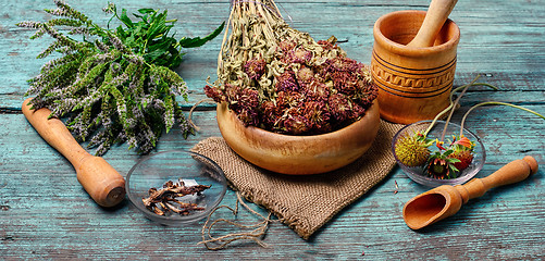 Image showing Set of medicinal herbs