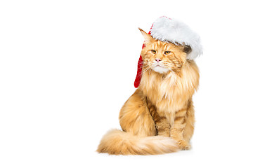 Image showing Big ginger cat in christmas hat