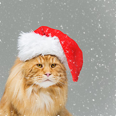 Image showing Big ginger cat in christmas hat