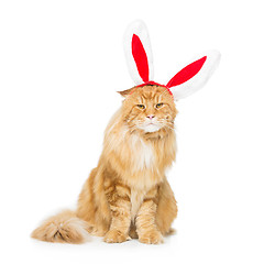 Image showing Big ginger cat in christmas rabbit ears head rim