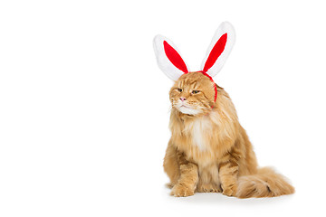 Image showing Big ginger cat in christmas rabbit ears head rim