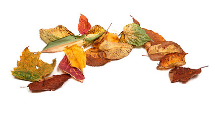 Image showing Multicolor dried autumn leafs