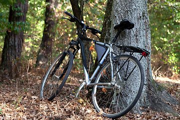 Image showing Bicycle in autumn forest 