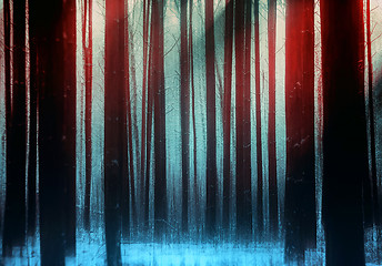 Image showing Trees In a Winter Magic Forest