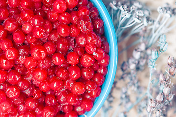 Image showing Cranberry Closeup In Turquoise Bowl