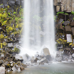 Image showing Svartifoss (Black Fall), Skaftafell, Iceland